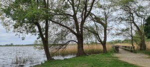 Anders wandern –Am Blankensee im Naturpark Nuthe-Nieplitz