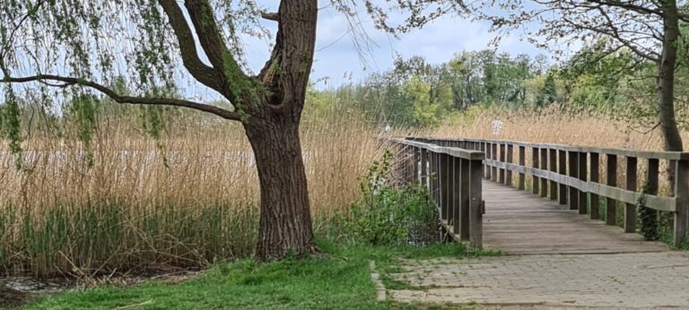 Blankensee Bohlensteg Naturpark Nuthe Nieplitz