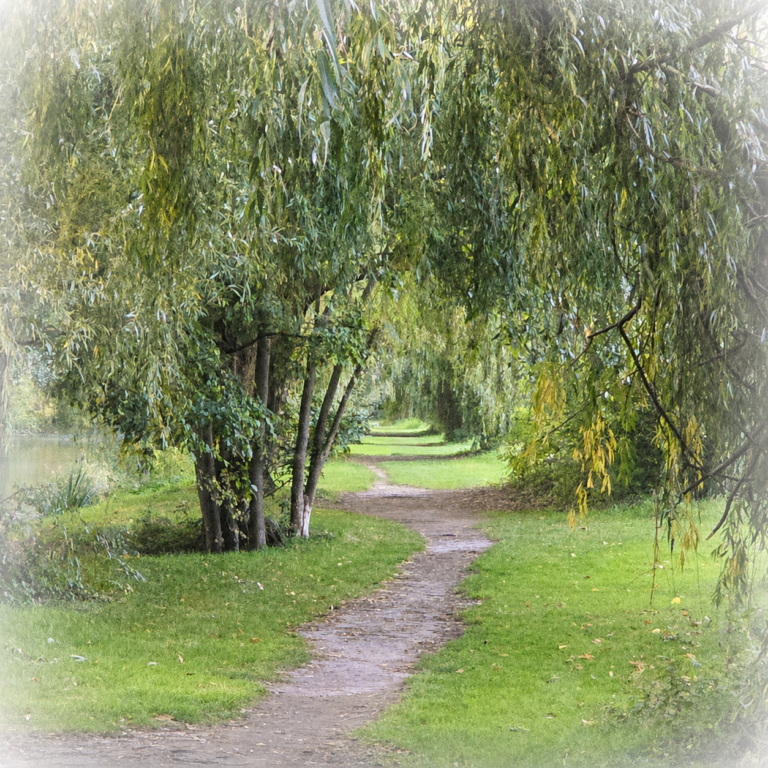 Anders wandern –Wege im Naturpark Nuthe-Nieplitz